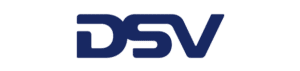 DSV Logo